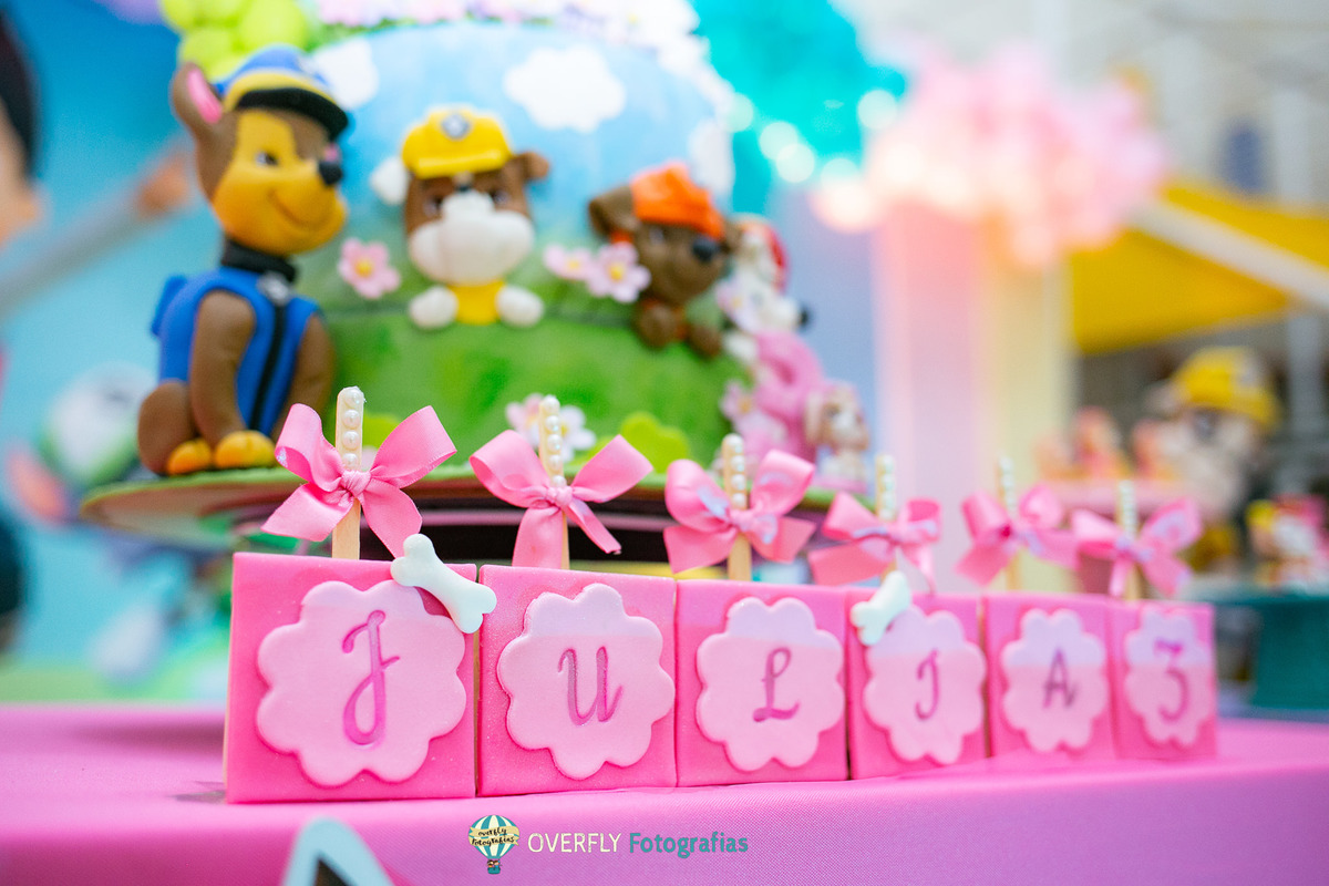 Aniversário da Patrulha Canina RJ 