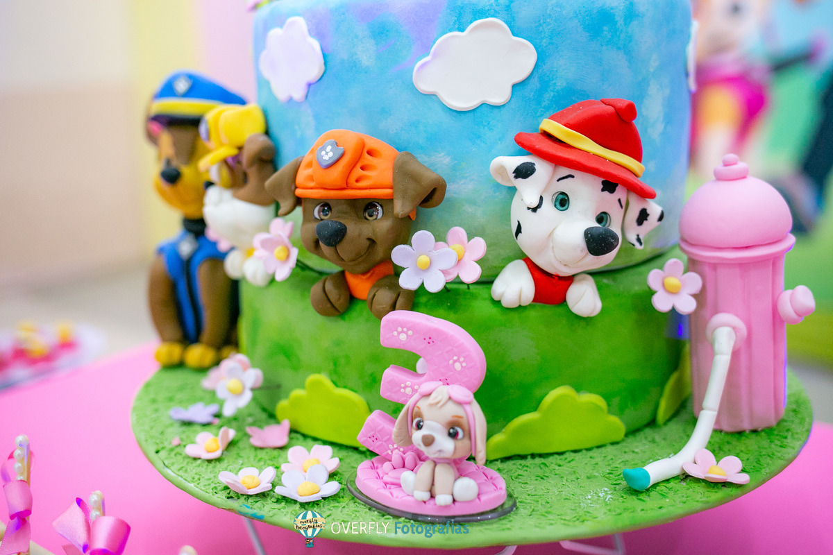 Aniversário da Patrulha Canina RJ 