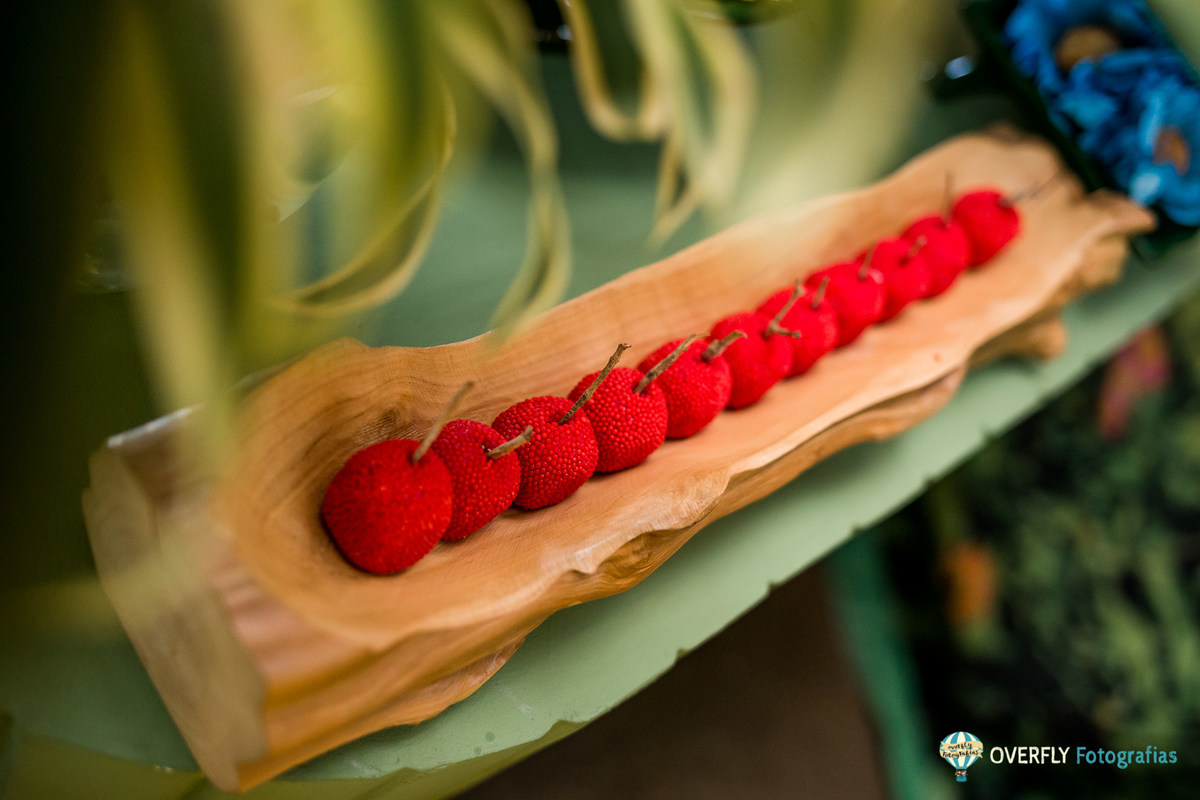 ANiversário de Menina com Tema da Branca de Neve 