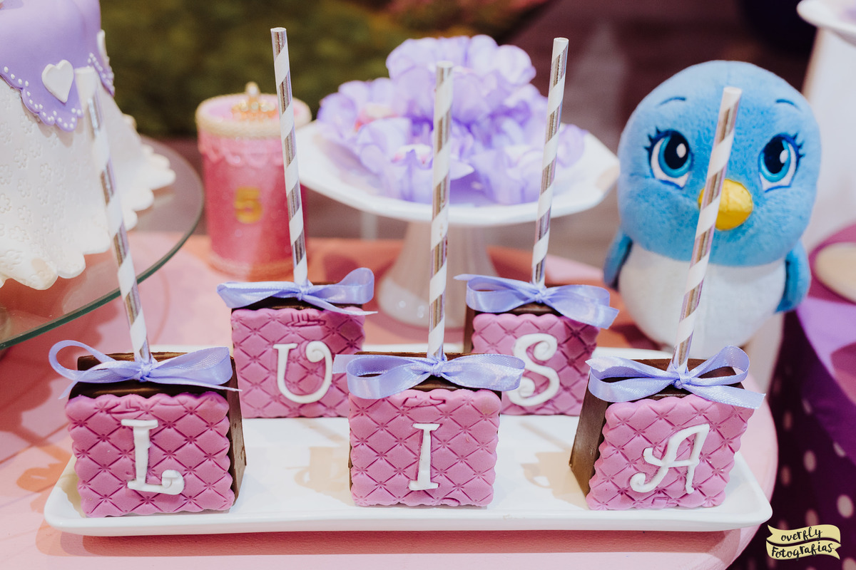 Aniversário da Princesa Sofia RJ