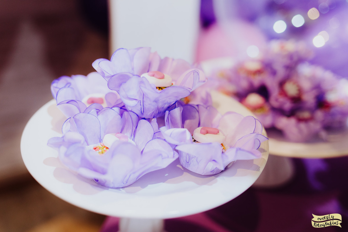 Aniversário da Princesa Sofia RJ