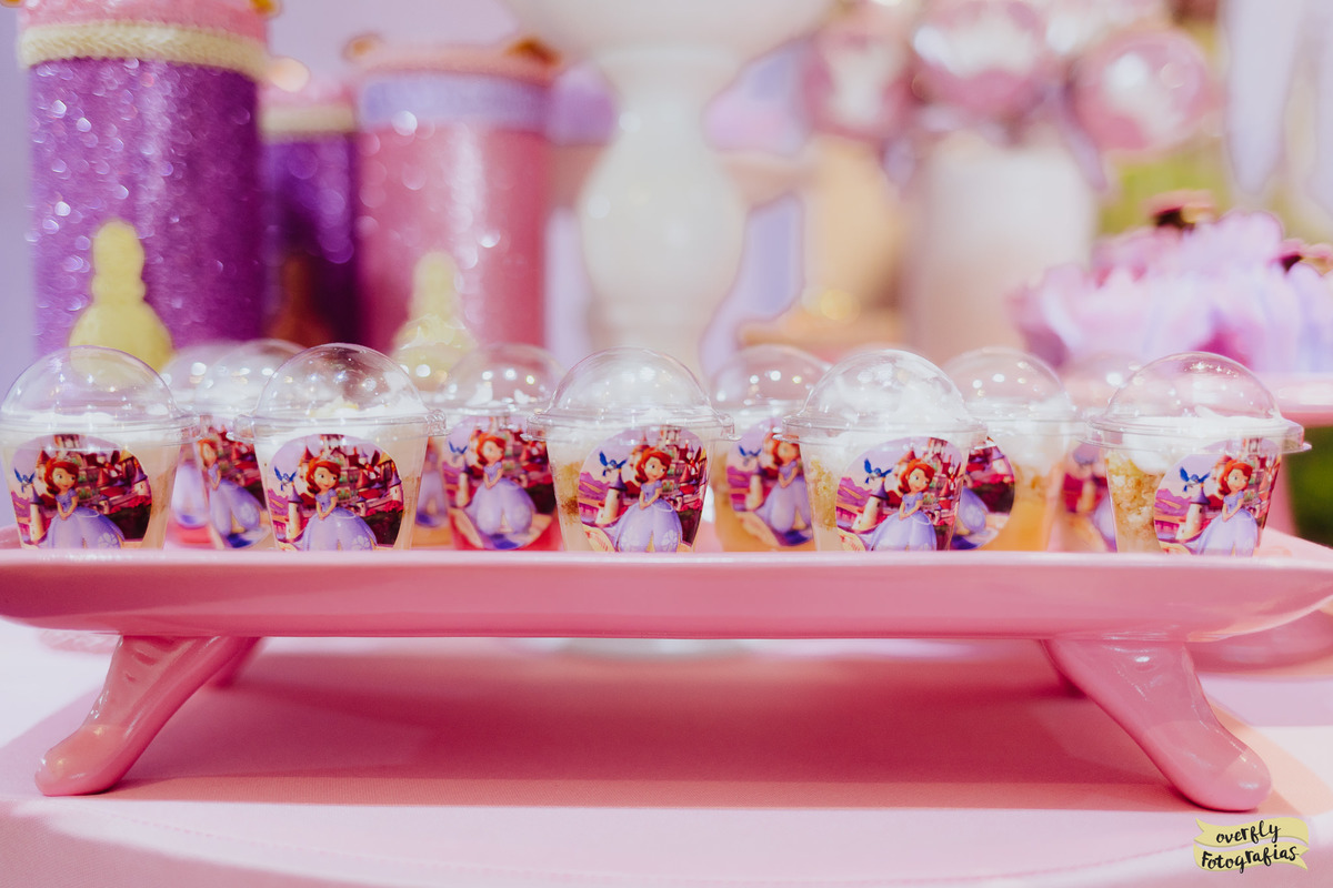 Aniversário da Princesa Sofia RJ