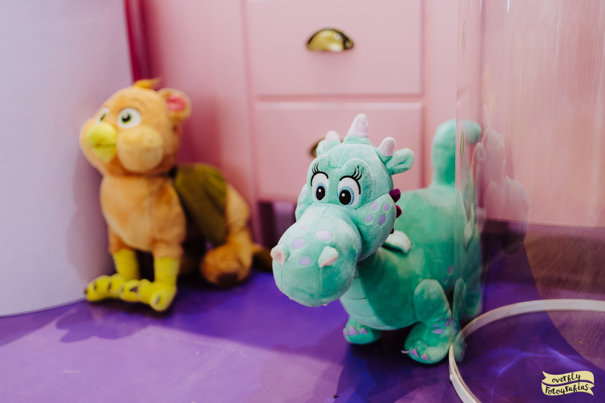 Aniversário da Princesa Sofia RJ