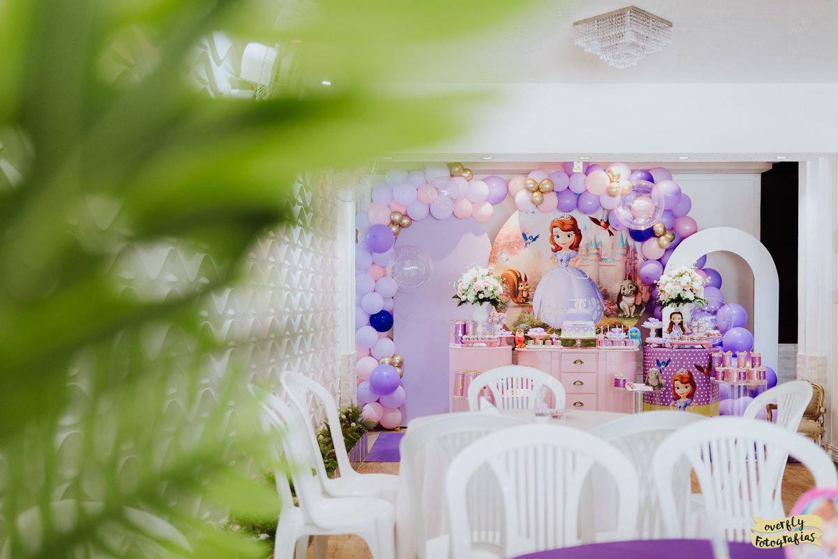 Aniversário da Princesa Sofia RJ