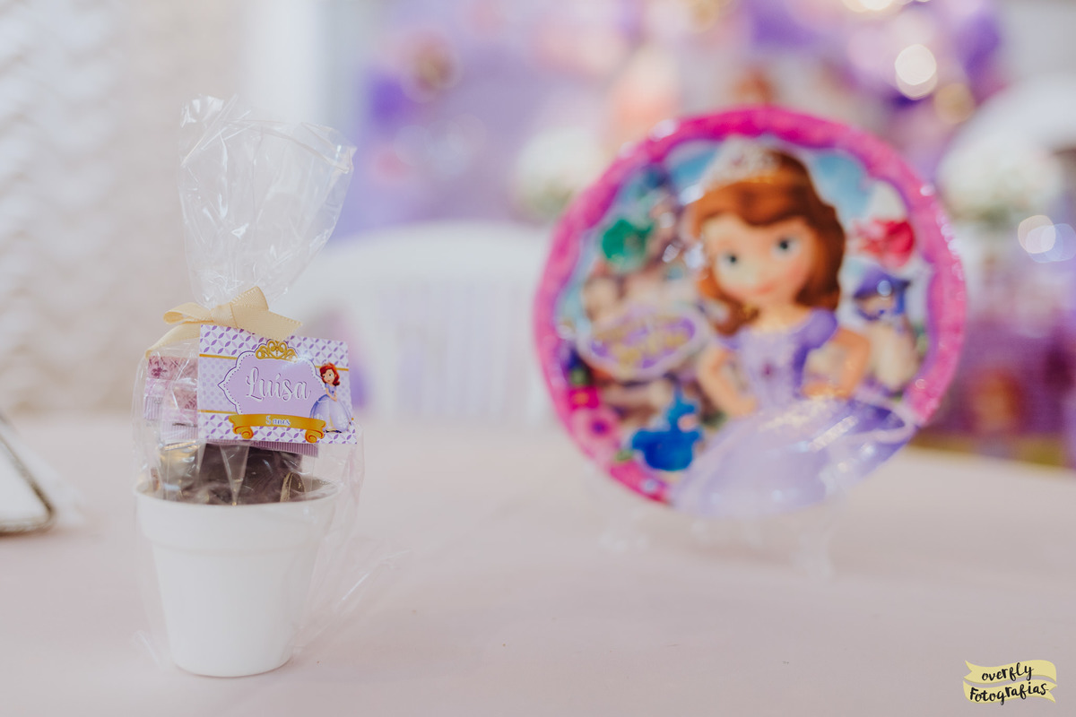 Aniversário da Princesa Sofia RJ