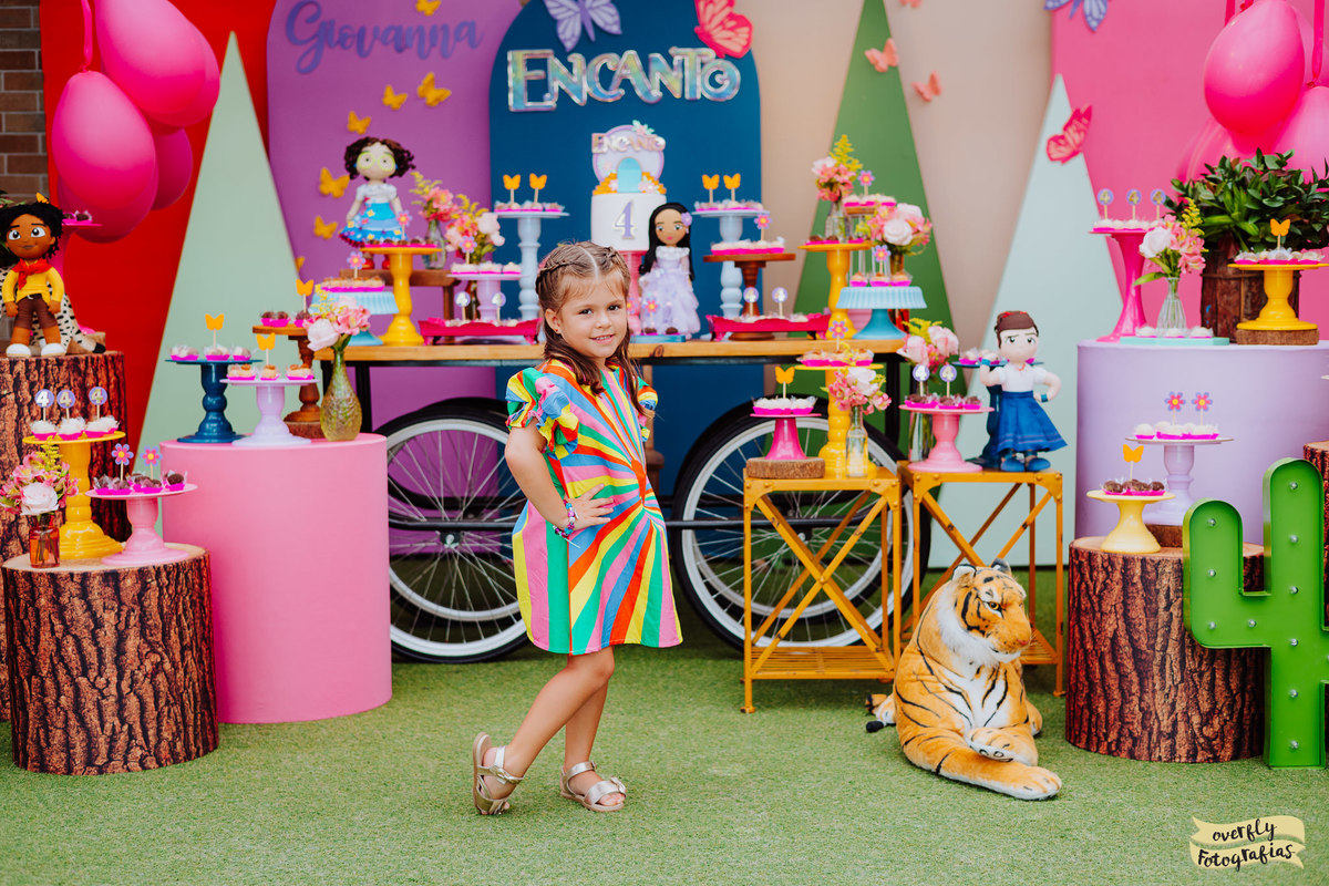 Aniversário Infantil no Folia Encantada - RJ