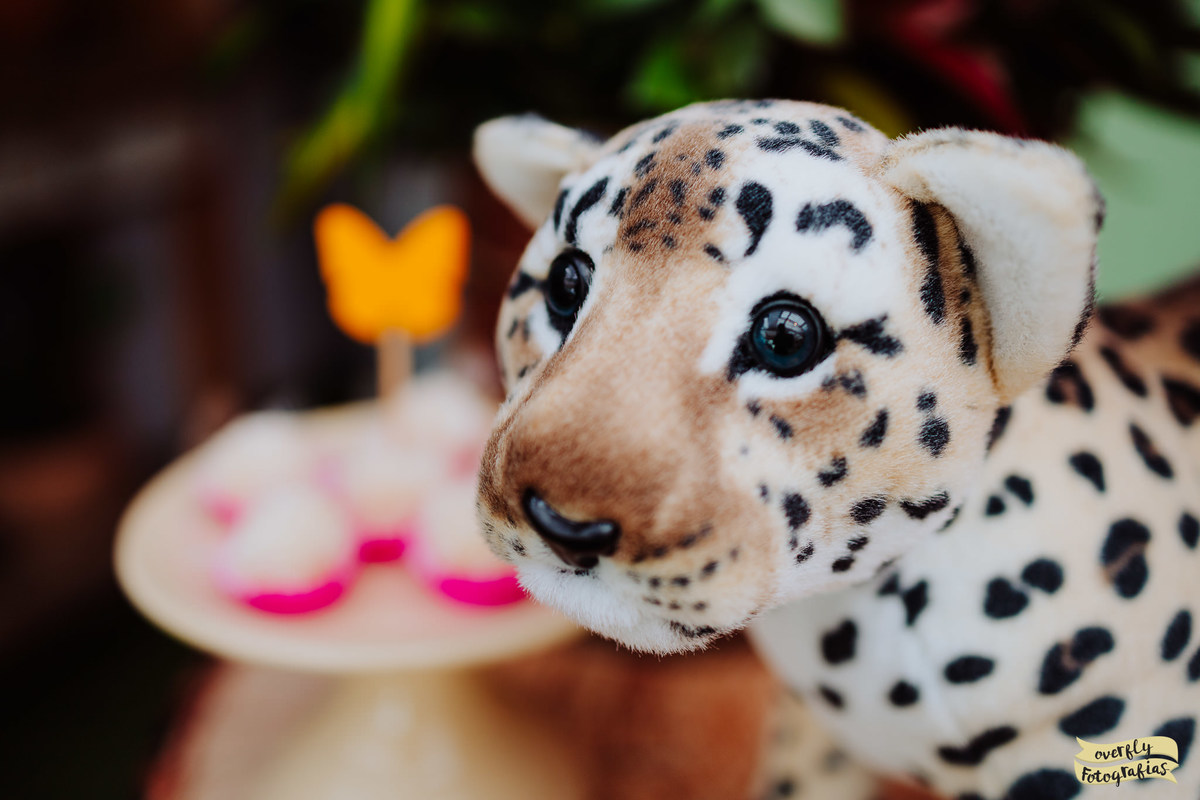 Fotografia Infantil na Estrada do Joá
