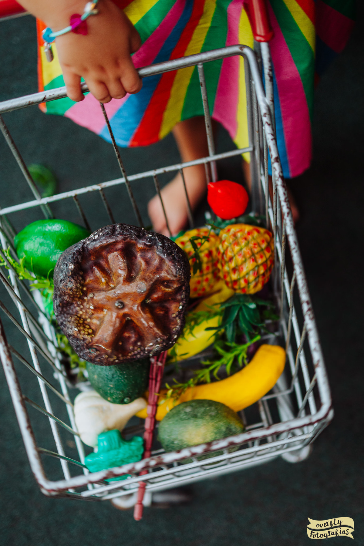 Aniversário Infantil no Zipariduda - RJ