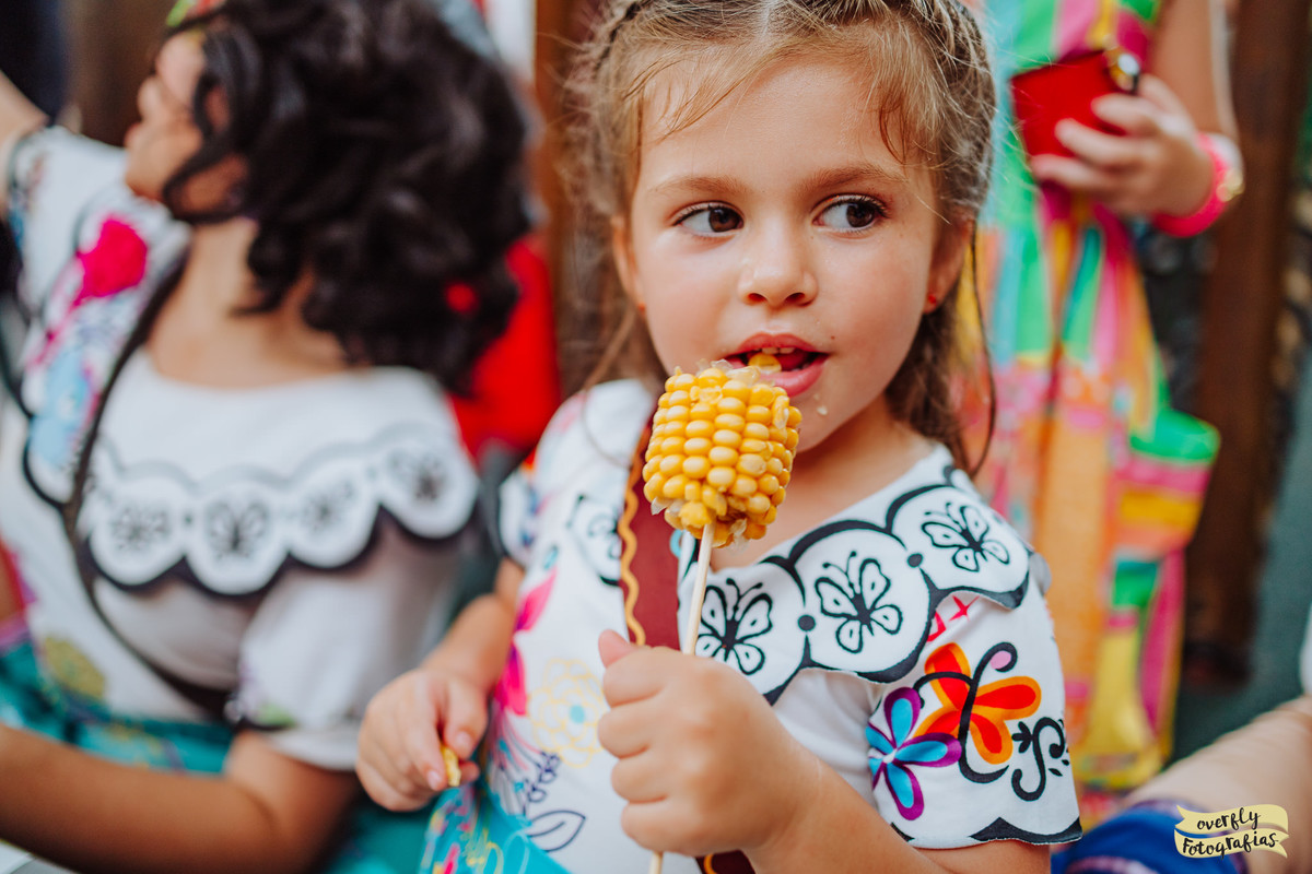 Aniversário Infantil na Casa em Festa - RJ