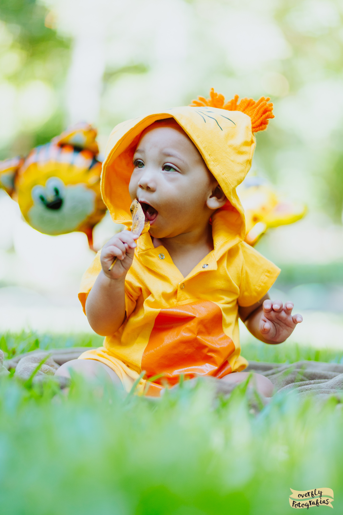 Ensaio de Criança no Campo de São Bento em Niterói