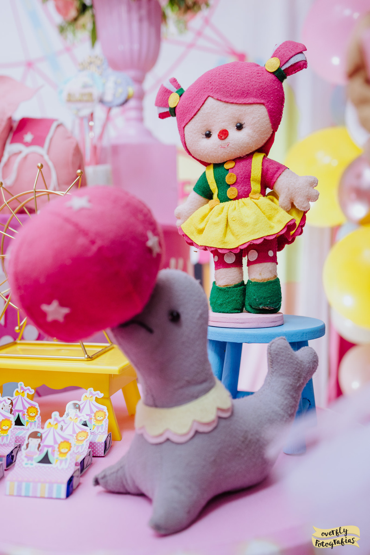 Fotógrafo Castelo da Magia Jacarepaguá - RJ