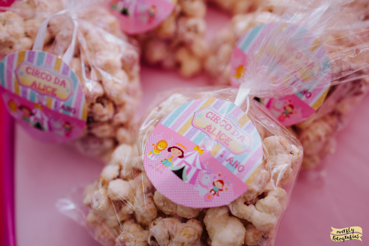 Fotografia de Aniversário Tema Circo no Castelo da Magia RJ