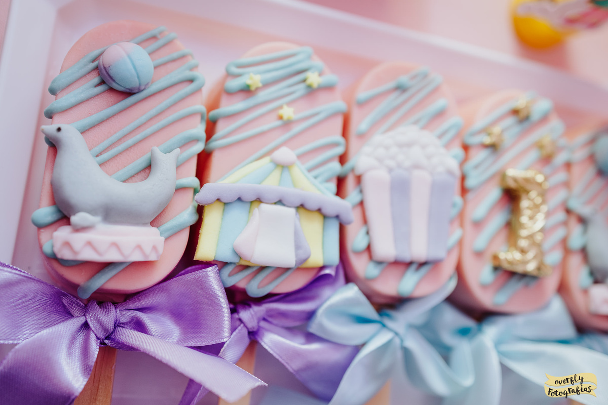 Fotografia de Aniversário Tema Circo no Castelo da Magia RJ