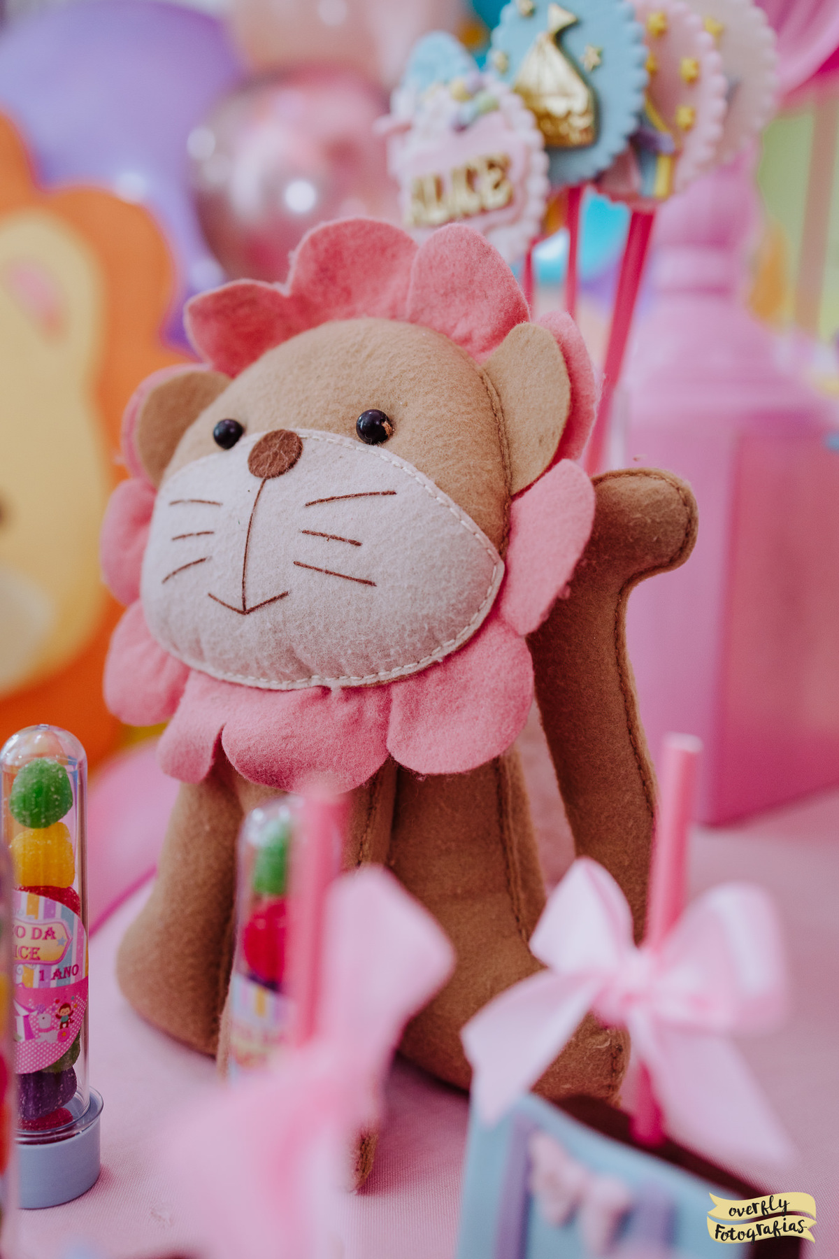 Fotografia de Aniversário Tema Circo no Castelo da Magia RJ