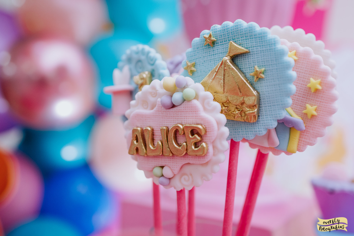 Fotografia de Aniversário Tema Circo no Castelo da Magia RJ