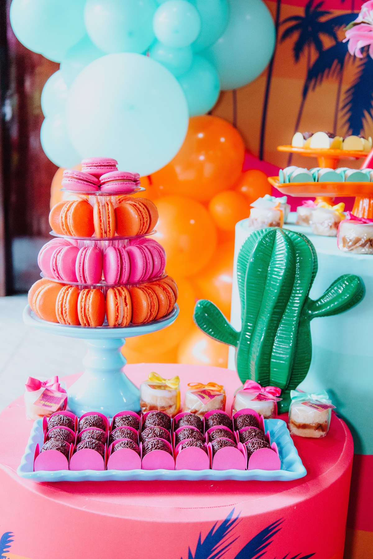 Aniversário com tema Tardezinha no Rio de Janeiro