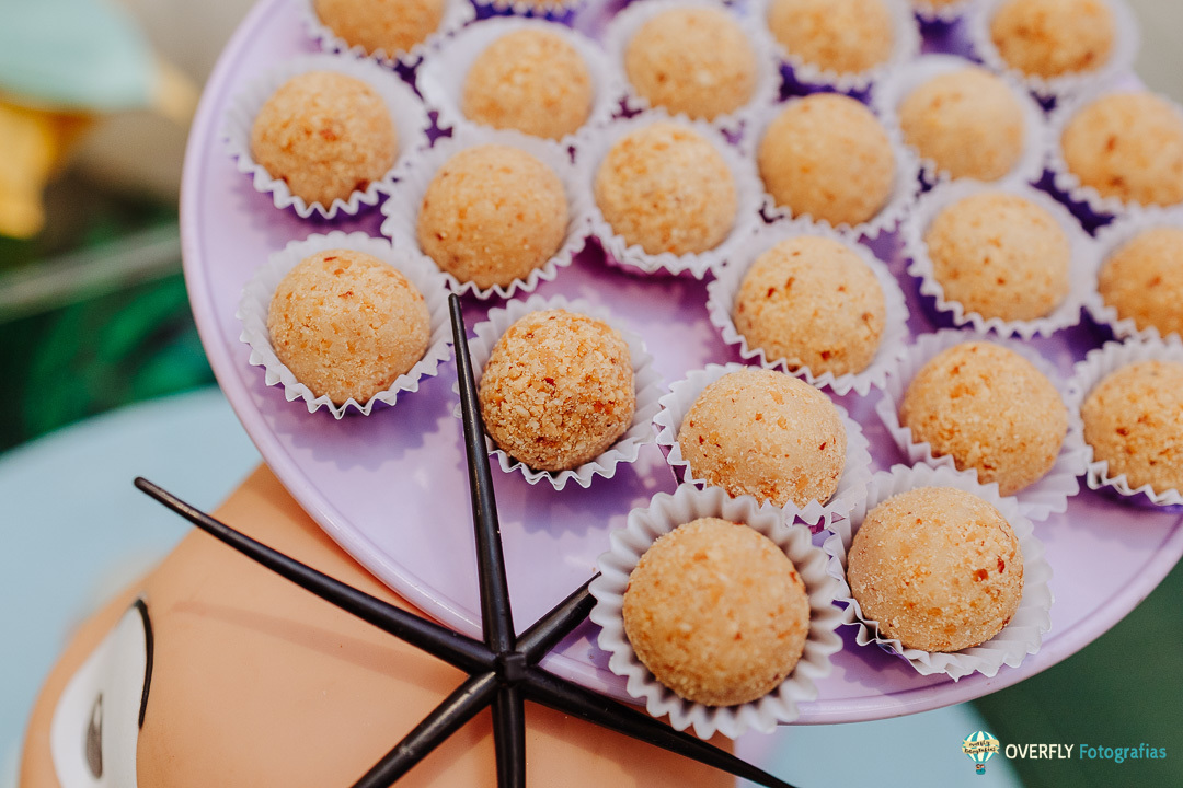 Fotógrafo de Festas Infantis no Rio de Janeiro

Se você está em busca de eternizar os momentos mágicos de aniversário no Rio de Janeiro, você está no lugar certo! Como fotógrafo especializado em festas infantis, minha missão é transformar cada instante em