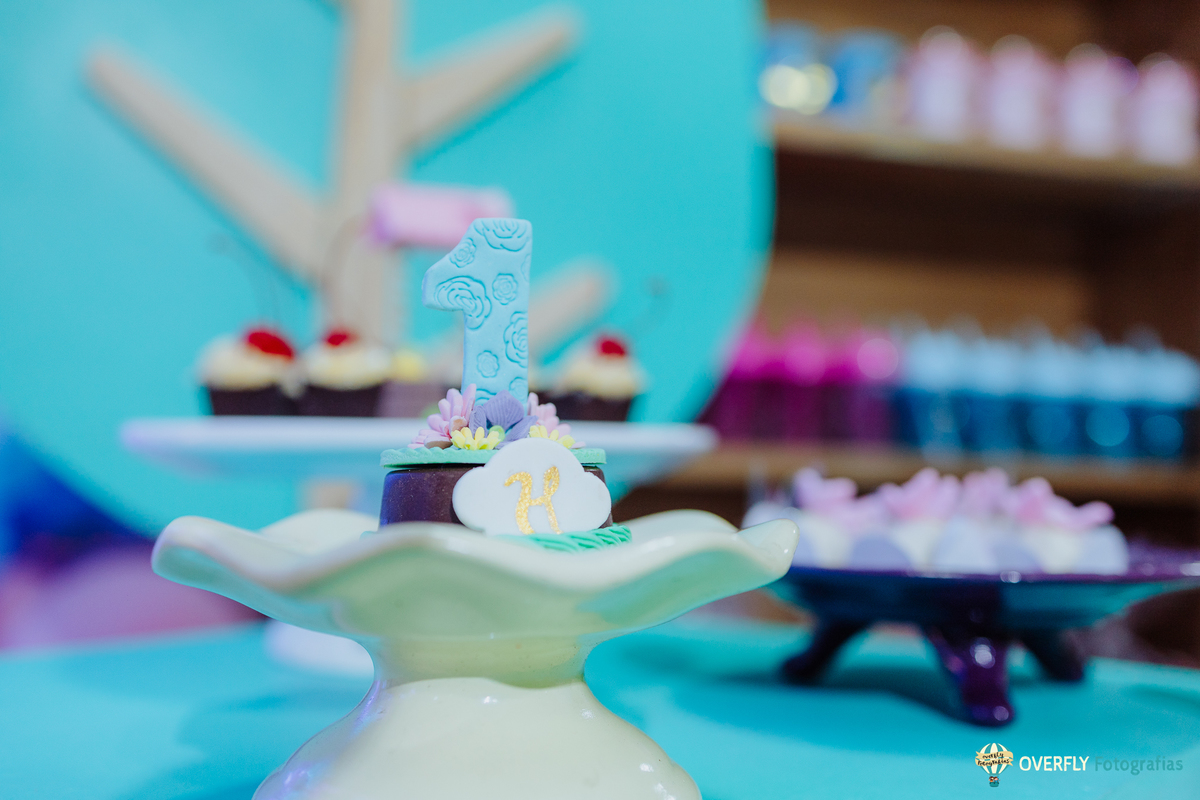 Fotógrafo de Aniversário infantil em São Gonçalo e Niterói - RJ