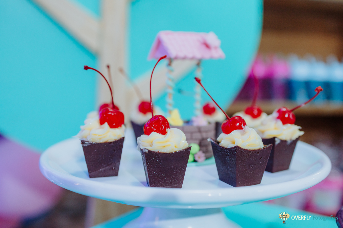 Fotógrafo de Aniversário infantil em São Gonçalo e Niterói - RJ