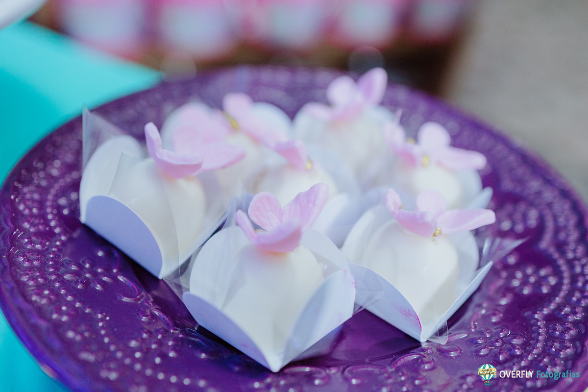Fotógrafo de Aniversário infantil em São Gonçalo e Niterói - RJ