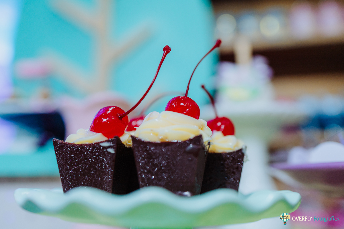 Fotógrafo de Aniversário infantil em São Gonçalo e Niterói - RJ