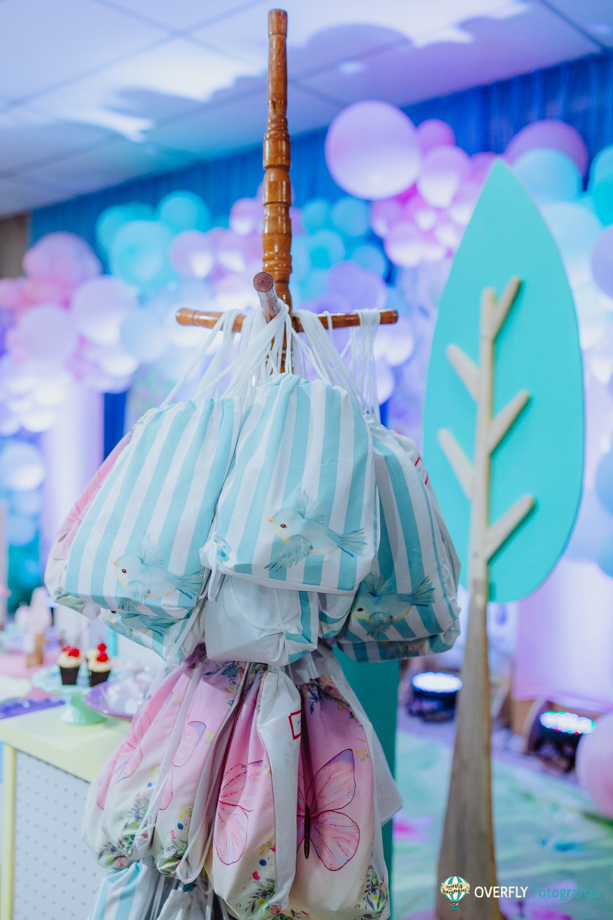 Fotógrafo de Aniversário infantil em São Gonçalo e Niterói - RJ