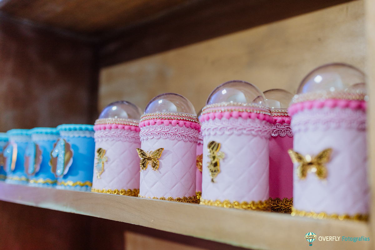 Fotógrafo de Aniversário infantil em São Gonçalo e Niterói - RJ