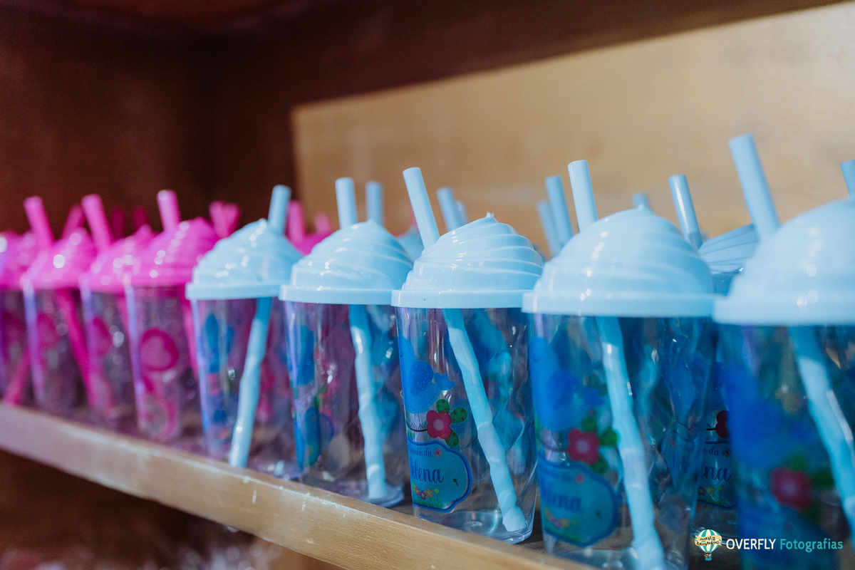 Fotógrafo de Aniversário infantil em São Gonçalo e Niterói - RJ