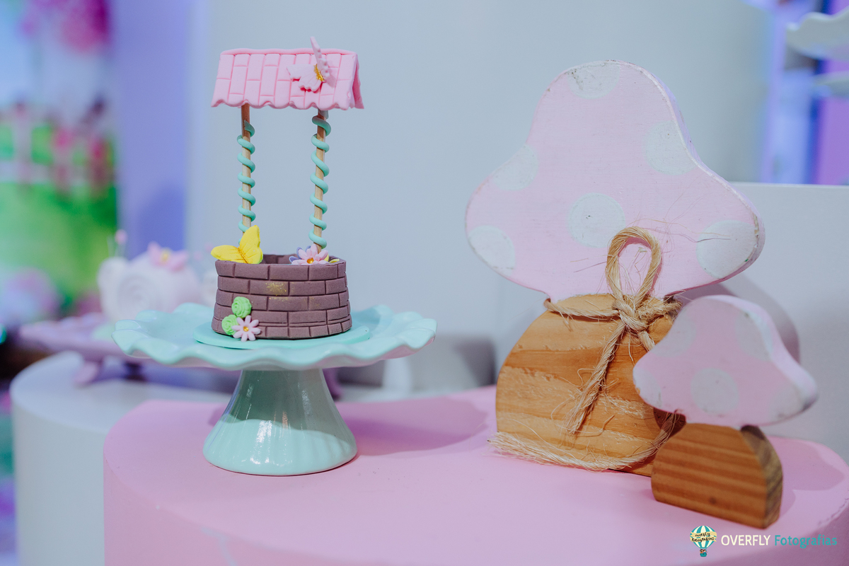 Fotógrafo de Aniversário infantil em São Gonçalo e Niterói - RJ