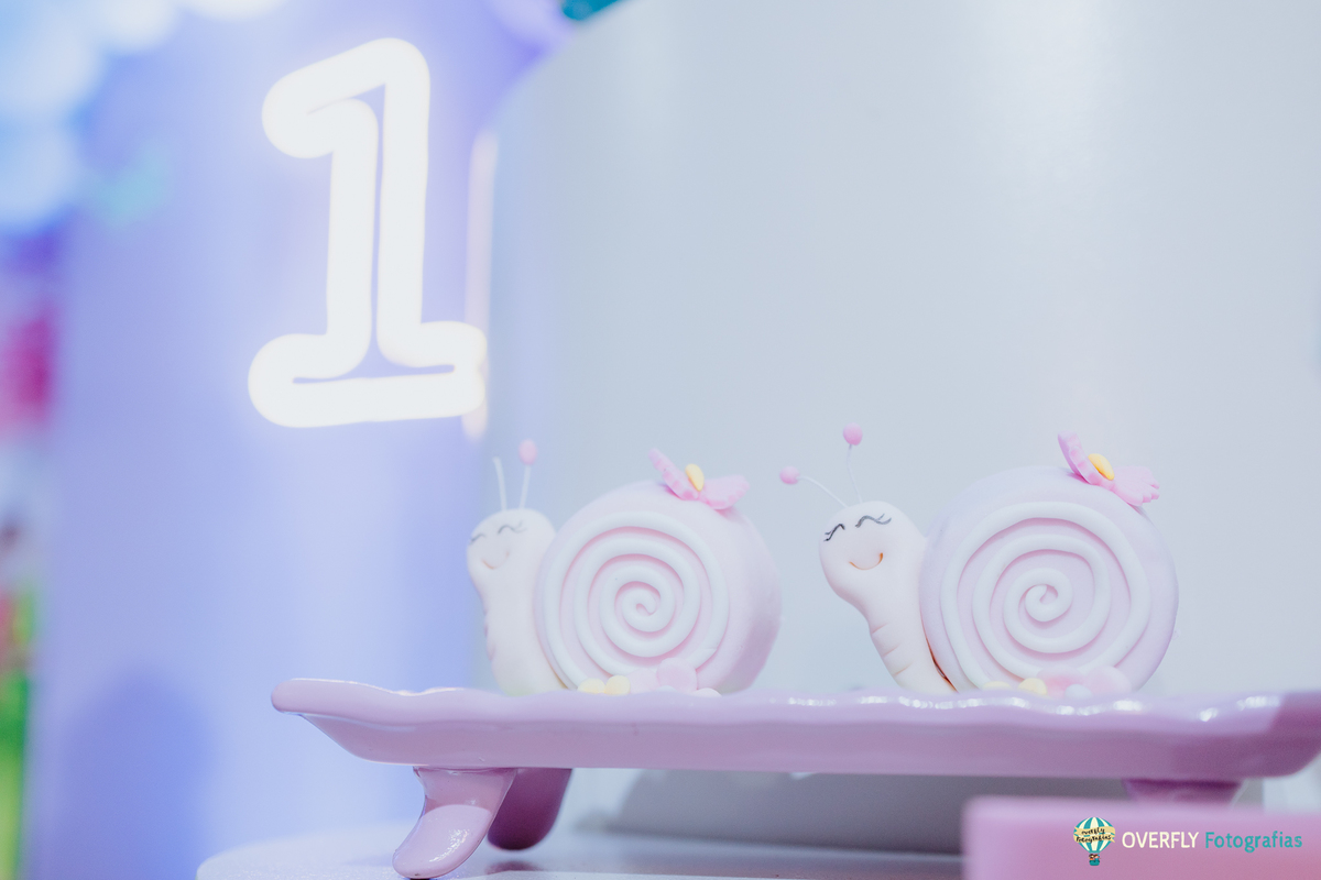 Fotógrafo de Aniversário infantil em São Gonçalo e Niterói - RJ