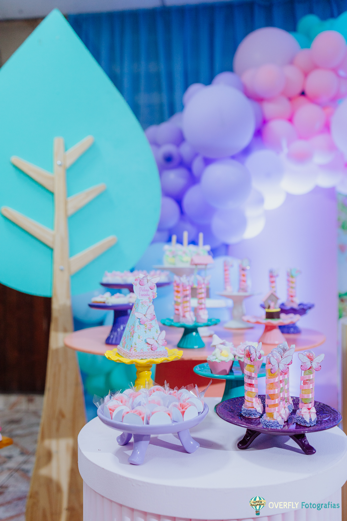 Fotógrafo de Aniversário infantil em São Gonçalo e Niterói - RJ