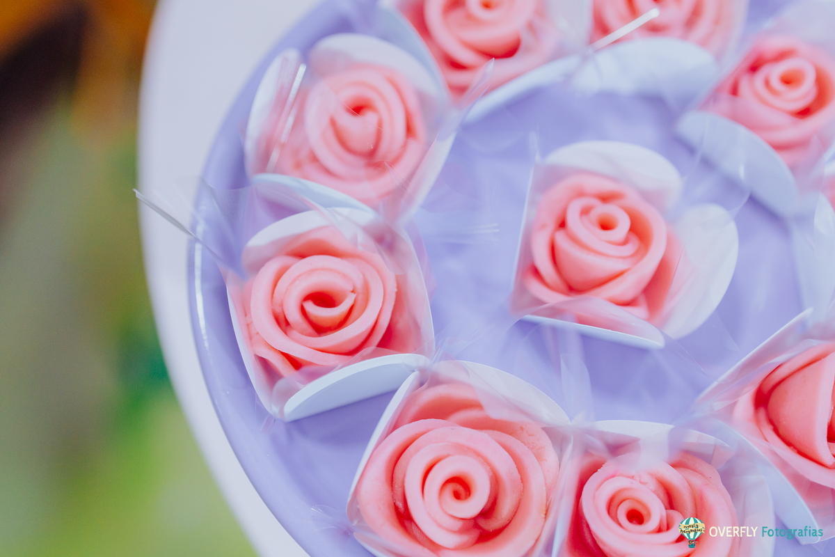 Fotógrafo de Aniversário infantil em São Gonçalo e Niterói - RJ