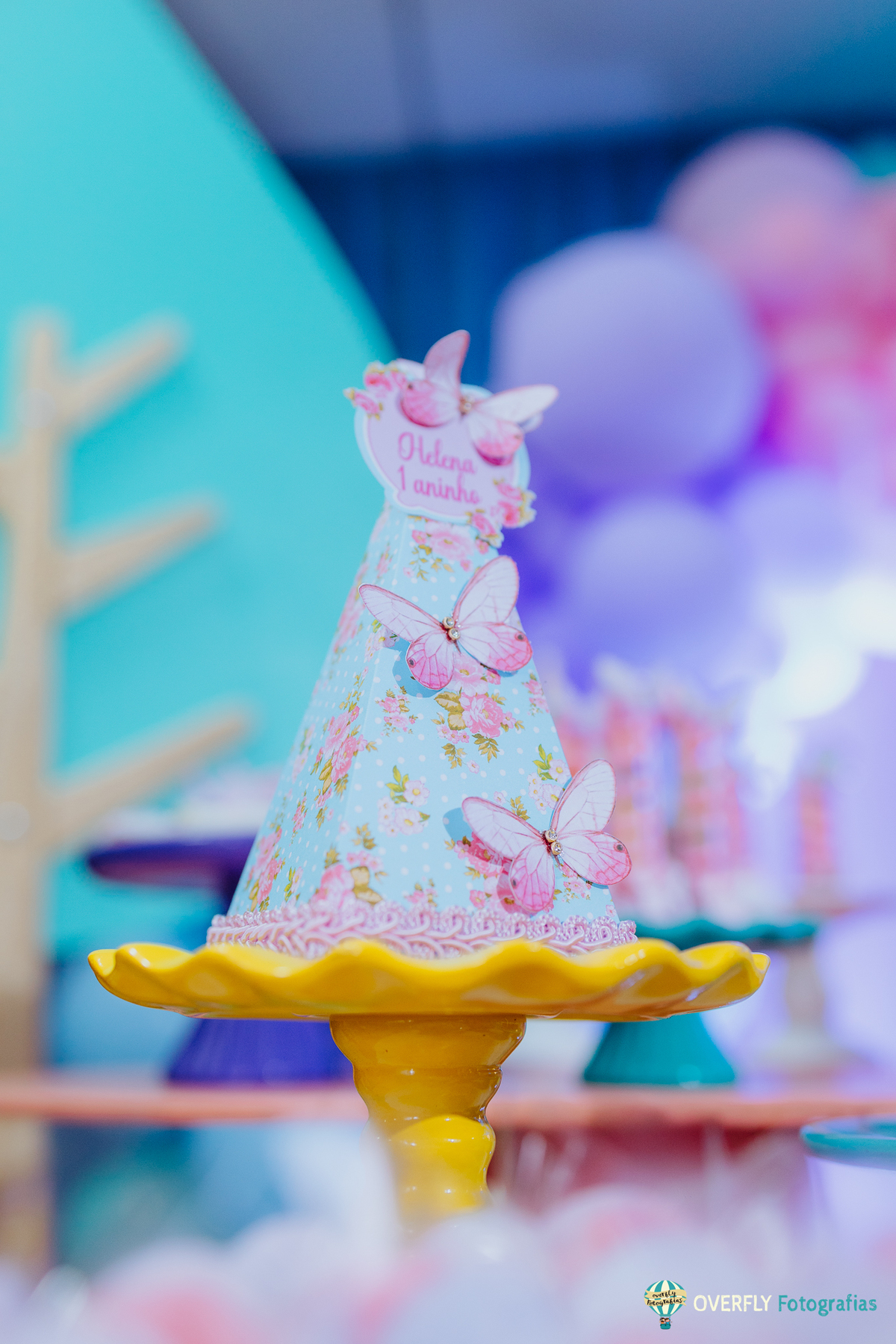 Fotógrafo de Aniversário infantil em São Gonçalo e Niterói - RJ