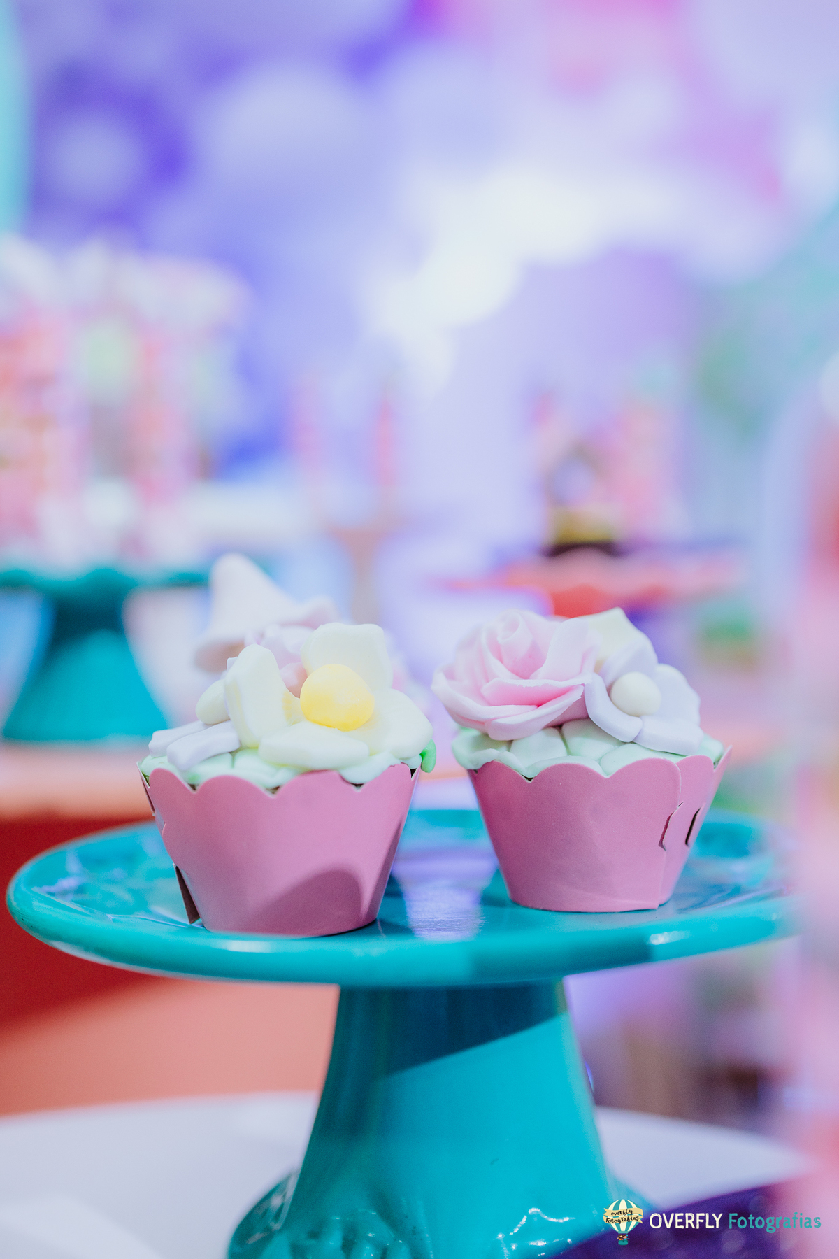 Fotógrafo de Aniversário infantil em São Gonçalo e Niterói - RJ