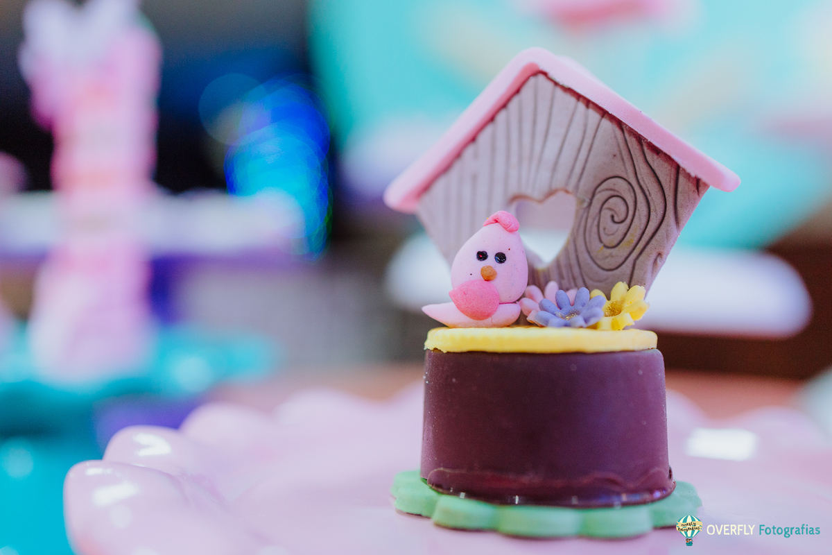Fotógrafo de Aniversário infantil em São Gonçalo e Niterói - RJ