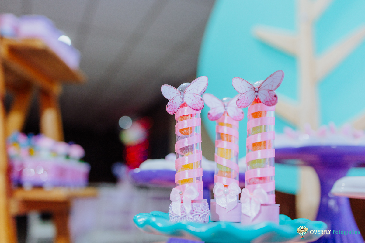 Fotógrafo de Aniversário infantil em São Gonçalo e Niterói - RJ