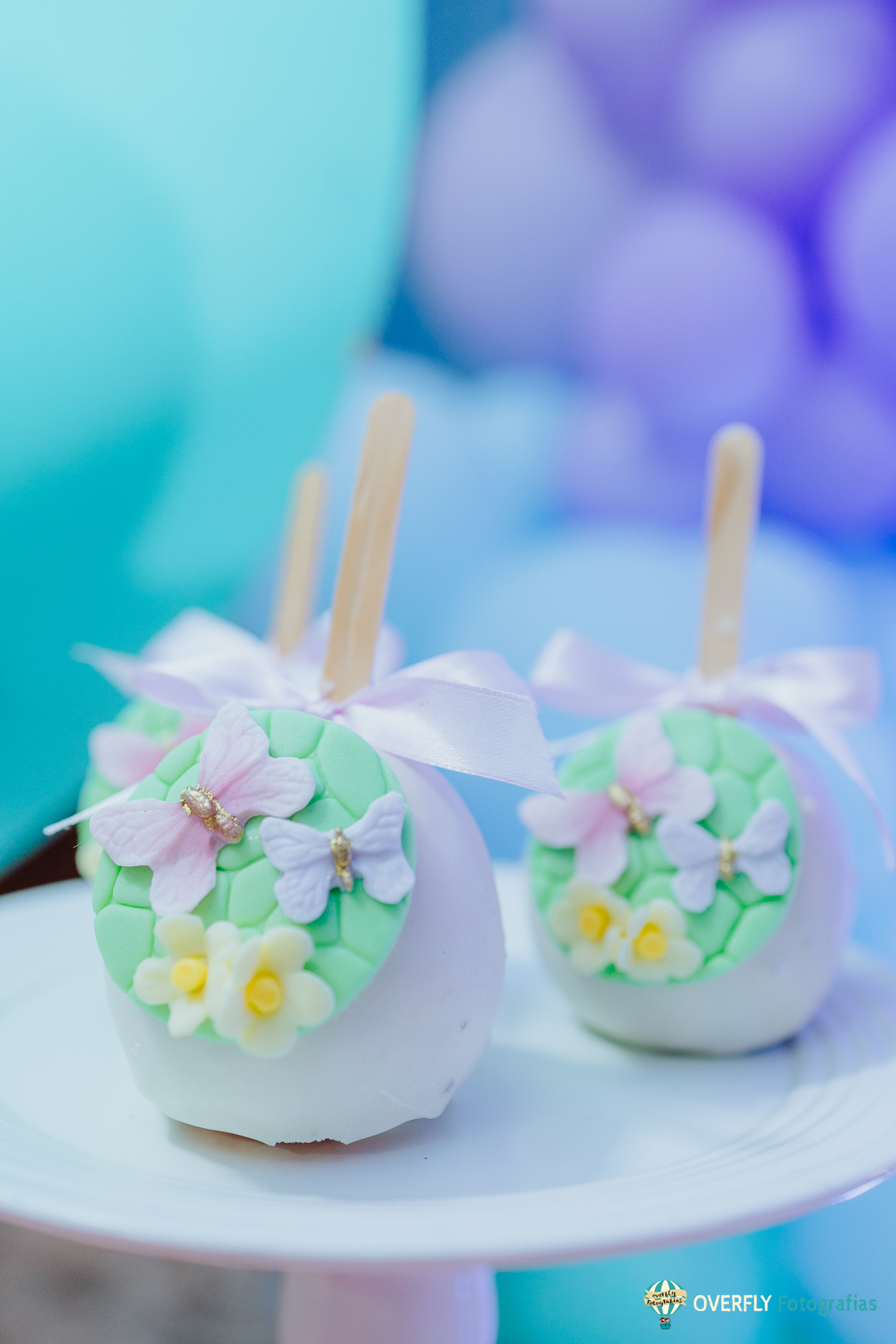 Fotógrafo de Aniversário infantil em São Gonçalo e Niterói - RJ
