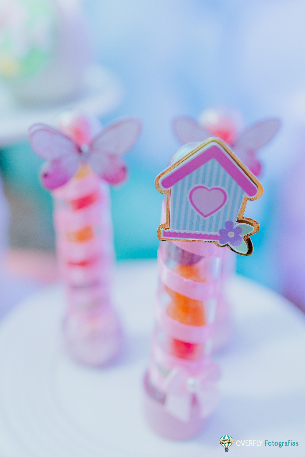 Fotógrafo de Aniversário infantil em São Gonçalo e Niterói - RJ