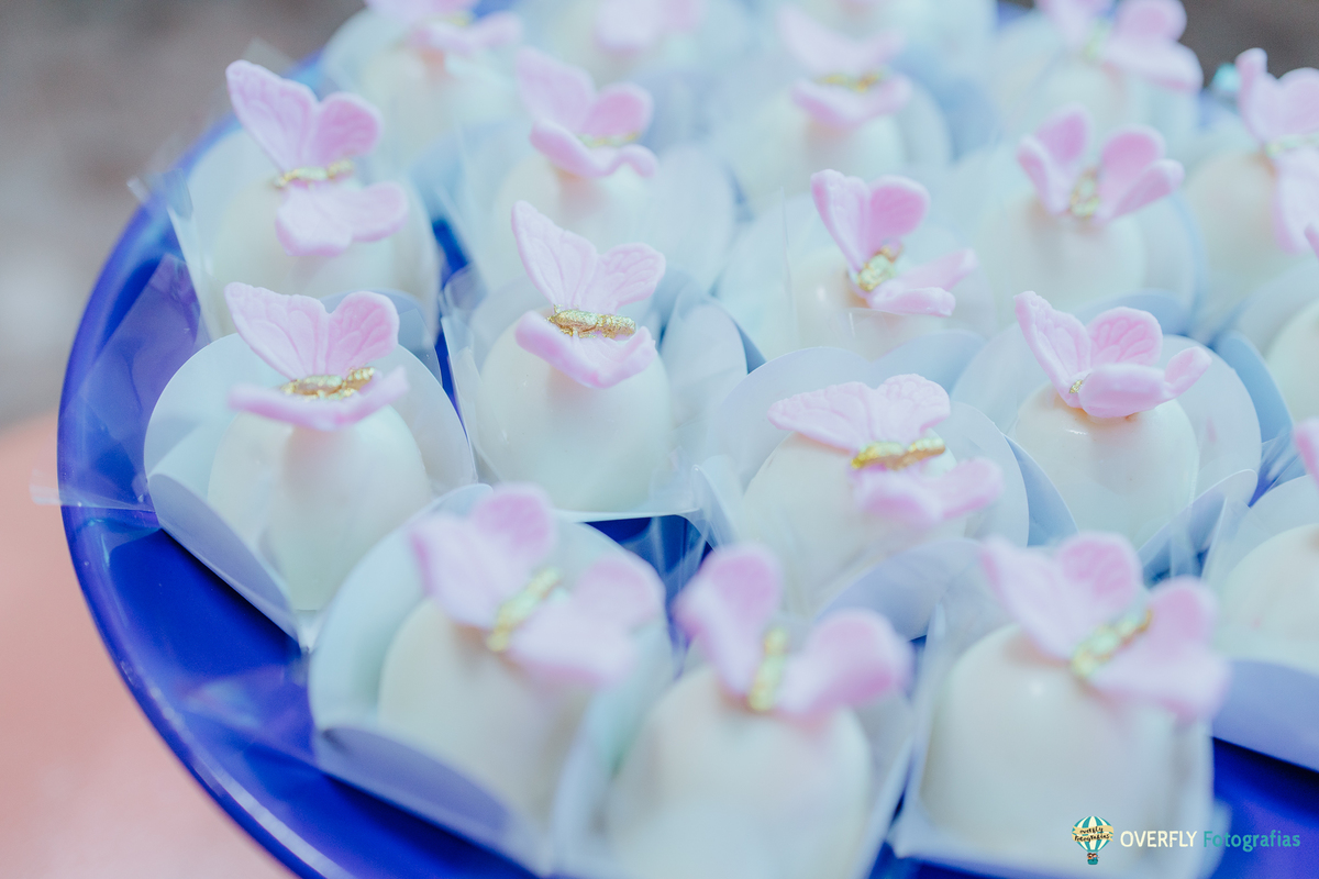 Fotógrafo de Aniversário infantil em São Gonçalo e Niterói - RJ