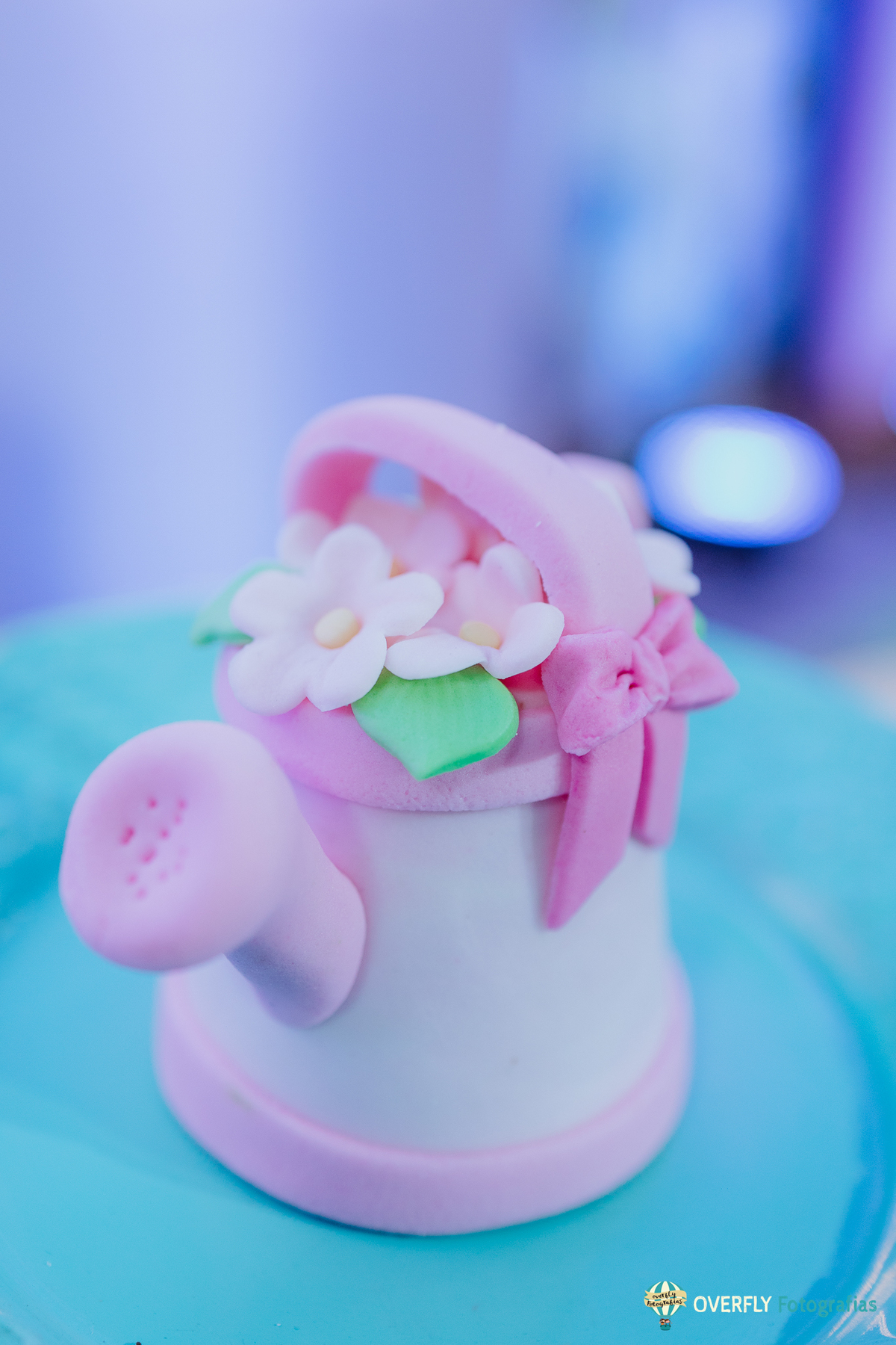 Fotógrafo de Aniversário infantil em São Gonçalo e Niterói - RJ