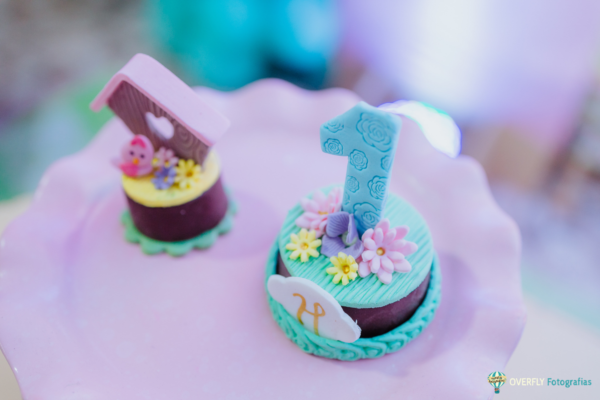 Fotógrafo de Aniversário infantil em São Gonçalo e Niterói - RJ