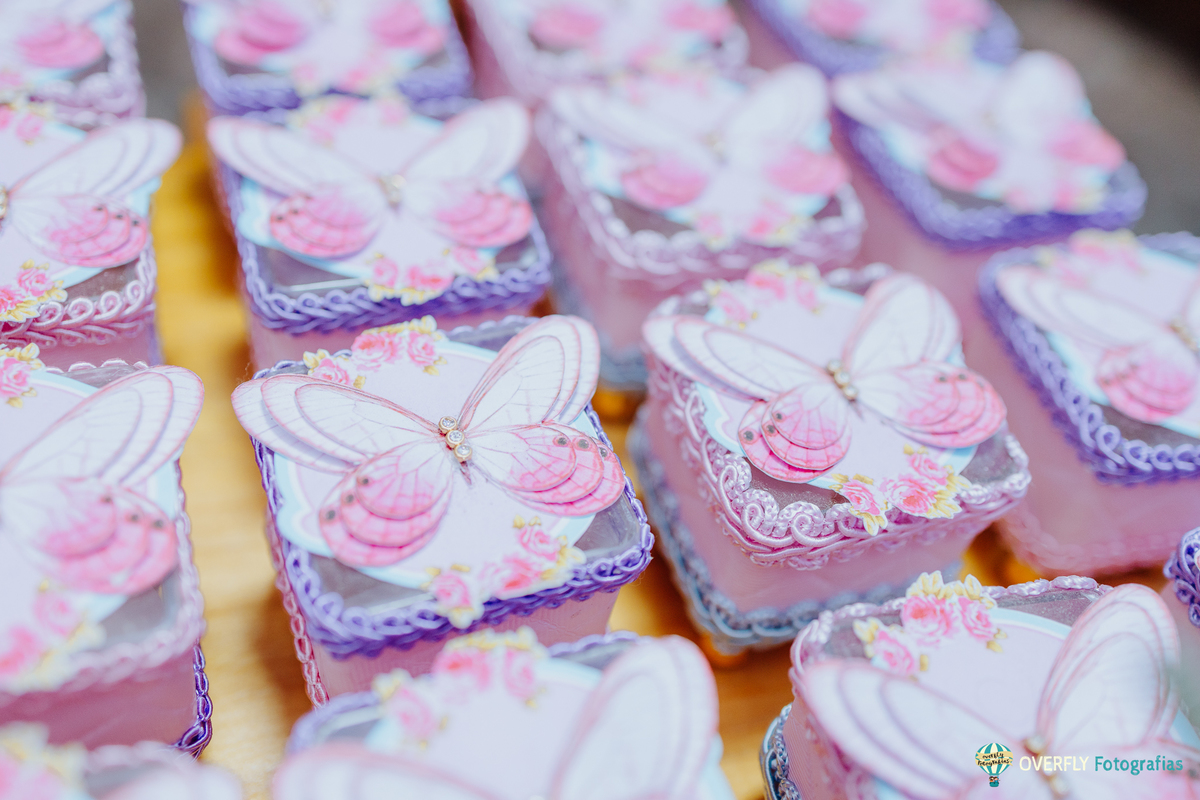 Fotógrafo de Aniversário infantil em São Gonçalo e Niterói - RJ