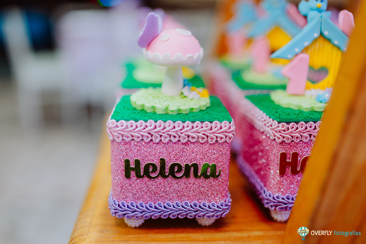 Fotógrafo de Aniversário infantil em São Gonçalo e Niterói - RJ