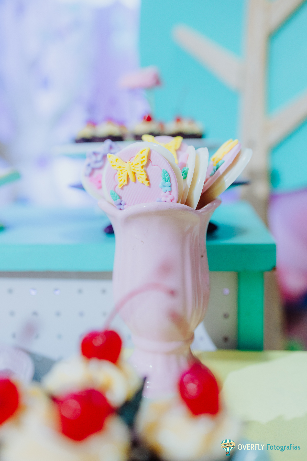 Fotógrafo de Aniversário infantil em São Gonçalo e Niterói - RJ