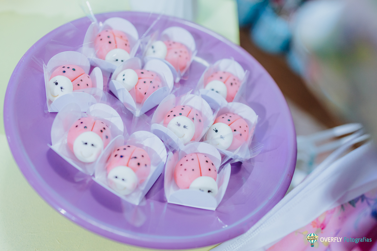 Fotógrafo de Aniversário infantil em São Gonçalo e Niterói - RJ