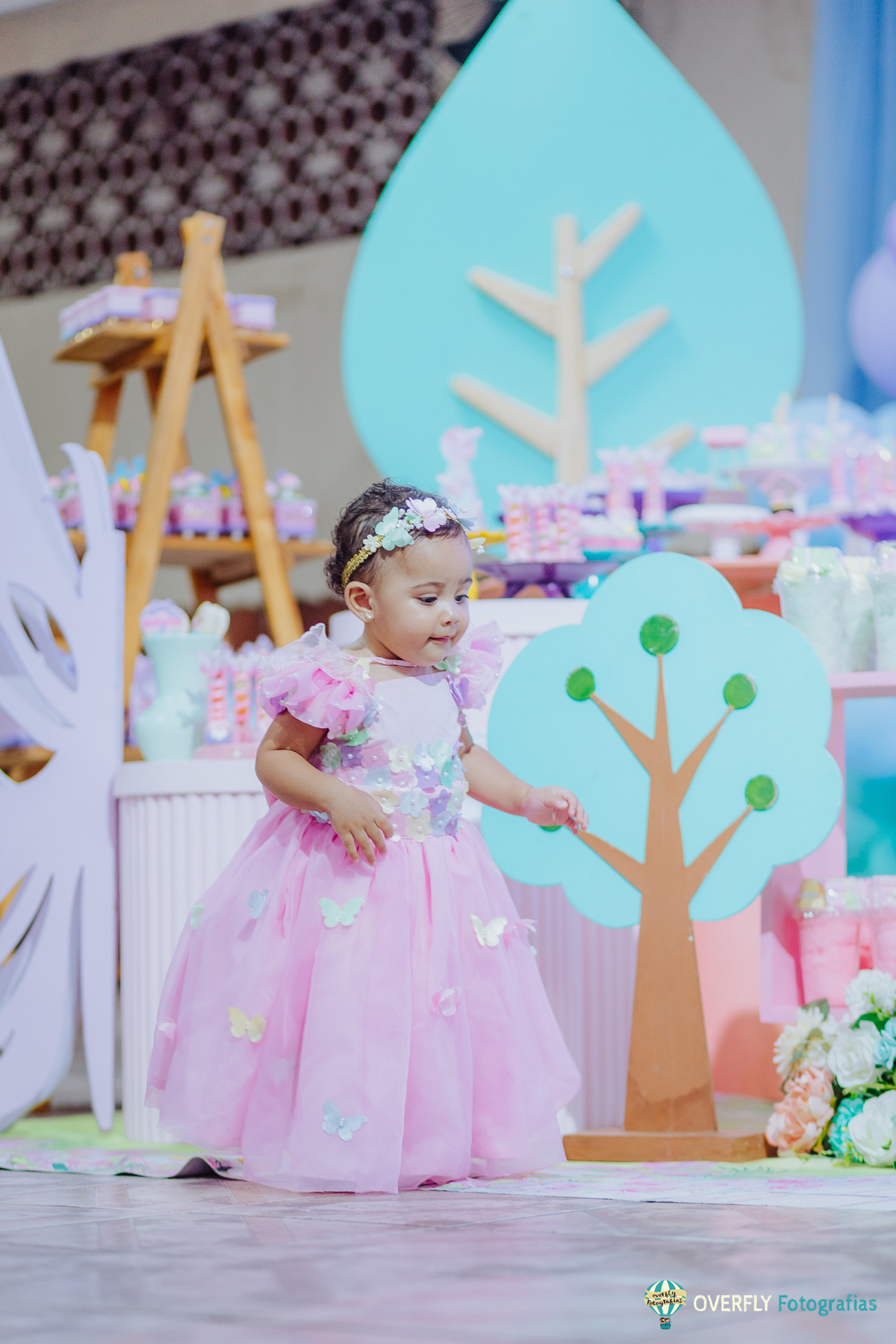 Fotógrafo de Aniversário infantil em São Gonçalo e Niterói - RJ