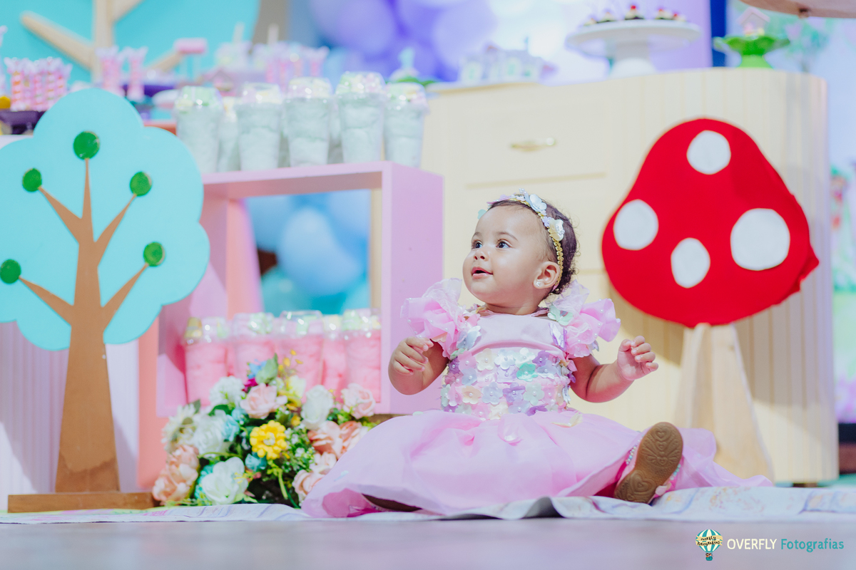 Fotógrafo de Aniversário infantil em São Gonçalo e Niterói - RJ