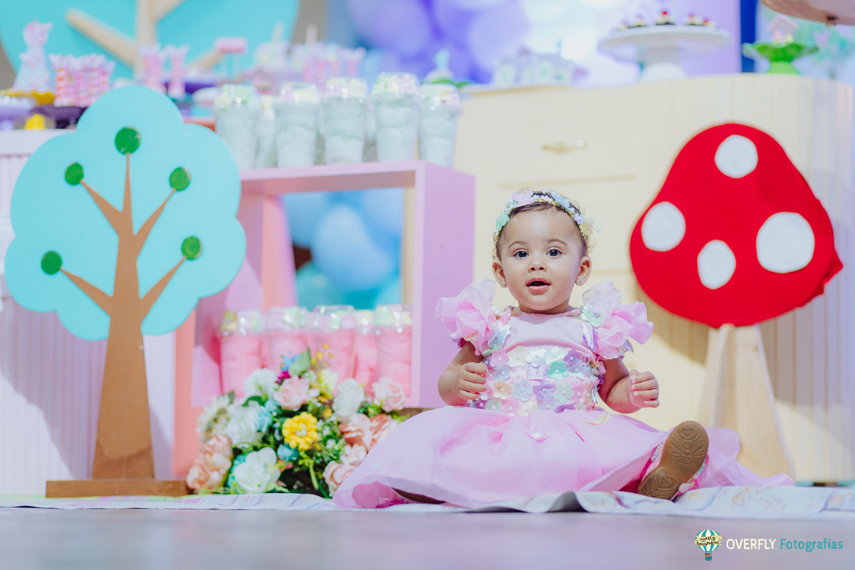 Fotógrafo de Aniversário infantil em São Gonçalo e Niterói - RJ