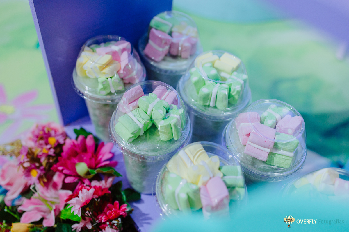 Fotógrafo de Aniversário infantil em São Gonçalo e Niterói - RJ