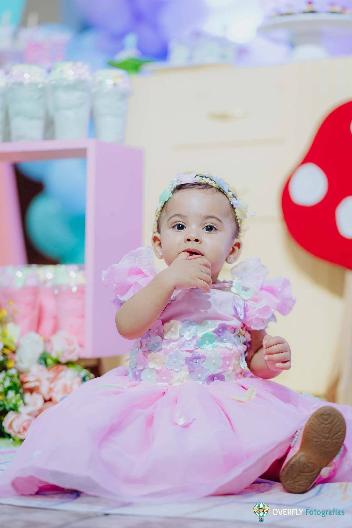 Fotógrafo de Aniversário infantil em São Gonçalo e Niterói - RJ
